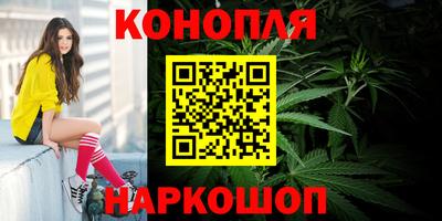 прущие грибы Кунгур