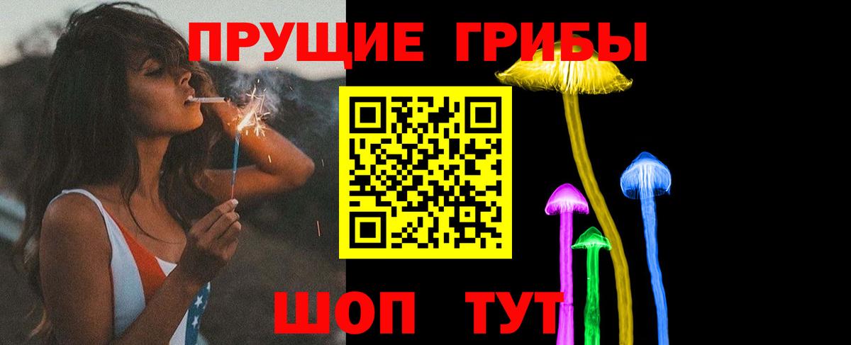что такое наркотик  Галлюциногенные грибы Psilocybine cubensis  Вход с VPN  Знаменск 